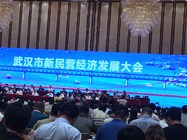 武汉召开新民营经济发展大会
