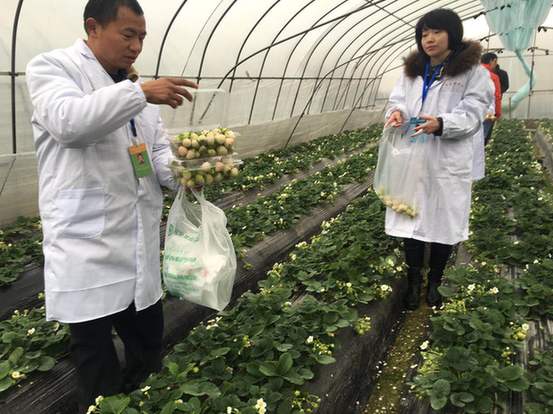 武汉市农产品质量连续十二年未发生重大农产品质量安全事故